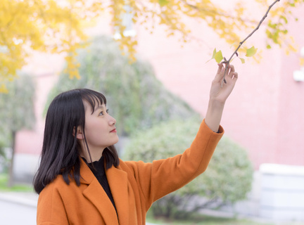 大地视频网站